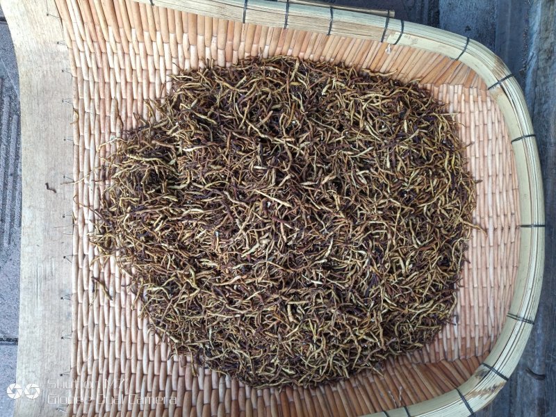 药材小黄根