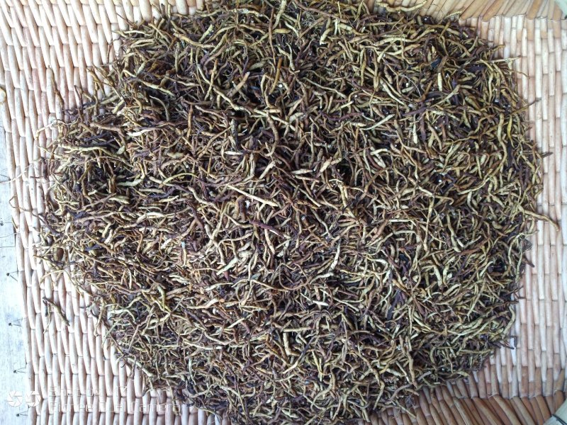 药材小黄根