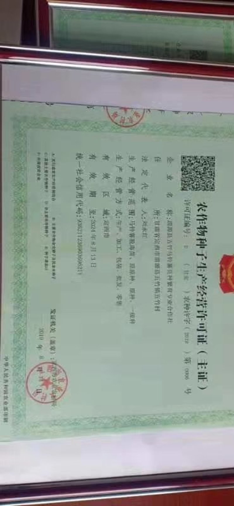 土豆种籽，甘肃产地考察选购批发，货源充足。