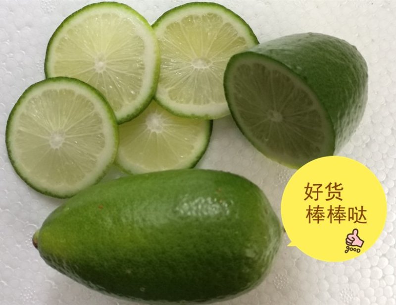 海南香水柠檬专线物流批发广州江南/浙江/南宁/成都等