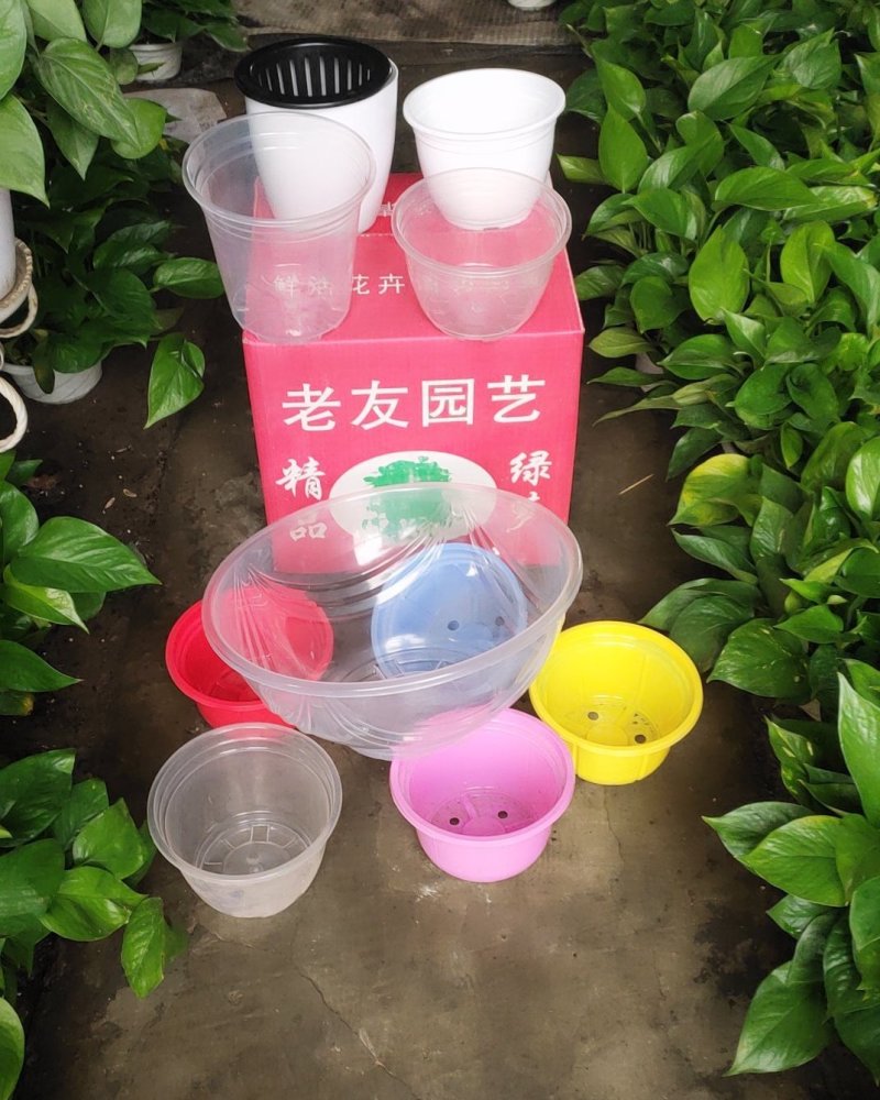 180自吸水盆，各种颜色都有5毛一2元/个。100起批