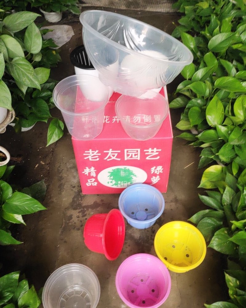 180自吸水盆，各种颜色都有5毛一2元/个。100起批
