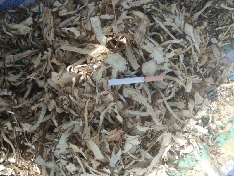 甘肃定西基地当归一棵树当归片一手货源农家自产诚信经营