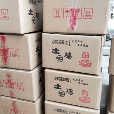 鸡种蛋血毛公鸡种蛋批发零售麻鸡种蛋批发零售
