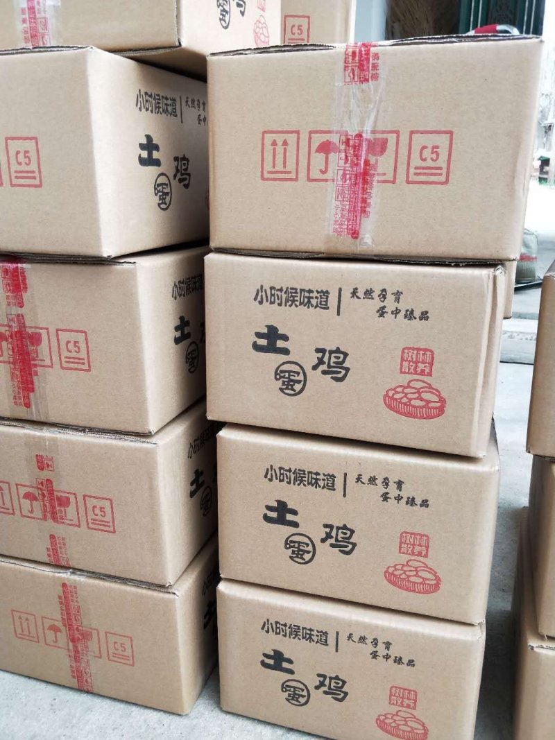 鸡种蛋血毛公鸡种蛋批发零售麻鸡种蛋批发零售