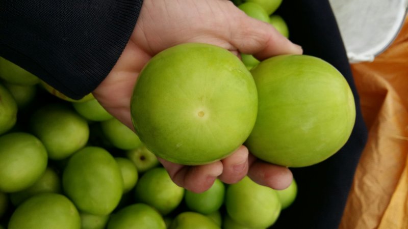 青枣