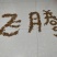 毛桃种子毛桃胡桃核桃胡种子山桃种子全国发货
