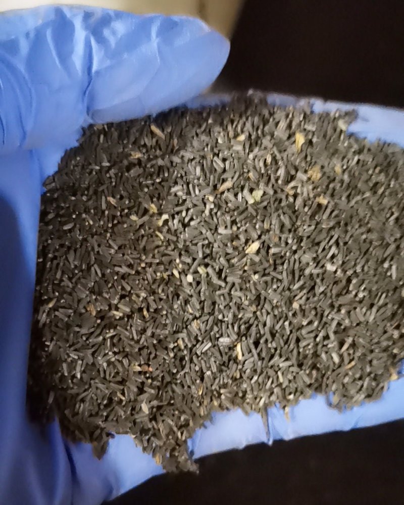 金光菊种子黄菊花种子黑眼菊多年生四季播种花卉菊花