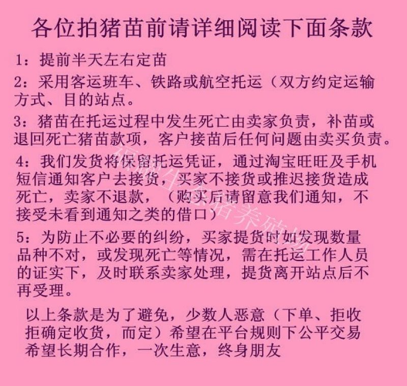 原种太湖高产母猪，包成活买十头送一头。