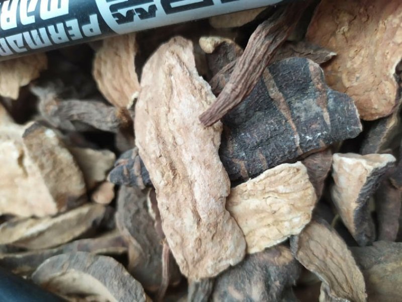 四川大山纯野生生何首乌片，菊花心，药性足手切片主产地直供