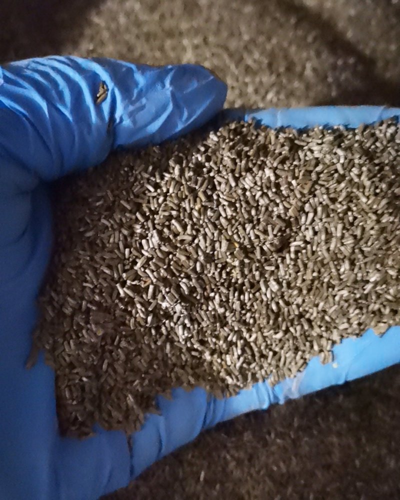 麦秆菊种子菊花种子春季种蜡菊景观花卉园艺庭院盆栽观花种子