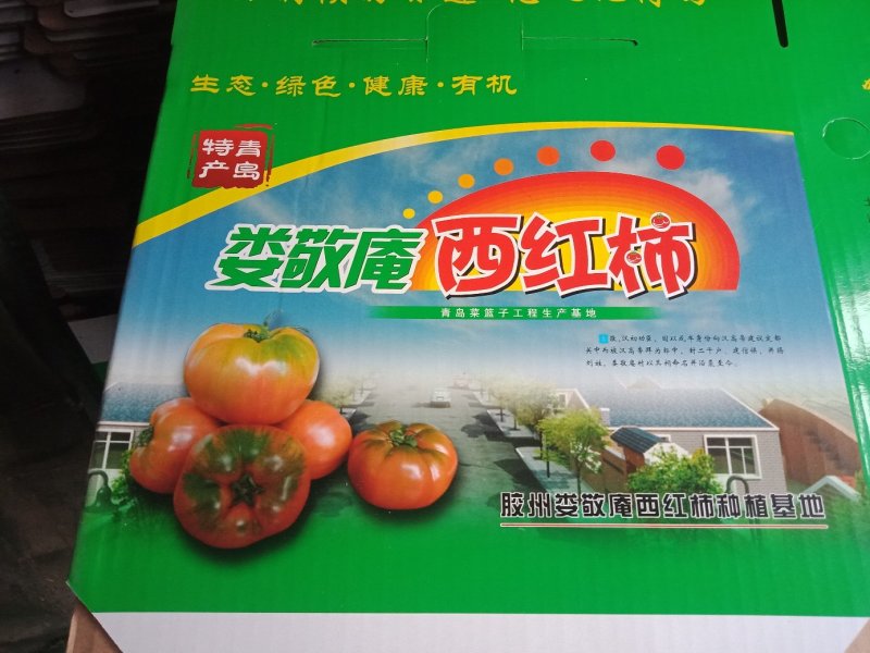 娄敬庵杠六九口感西红柿