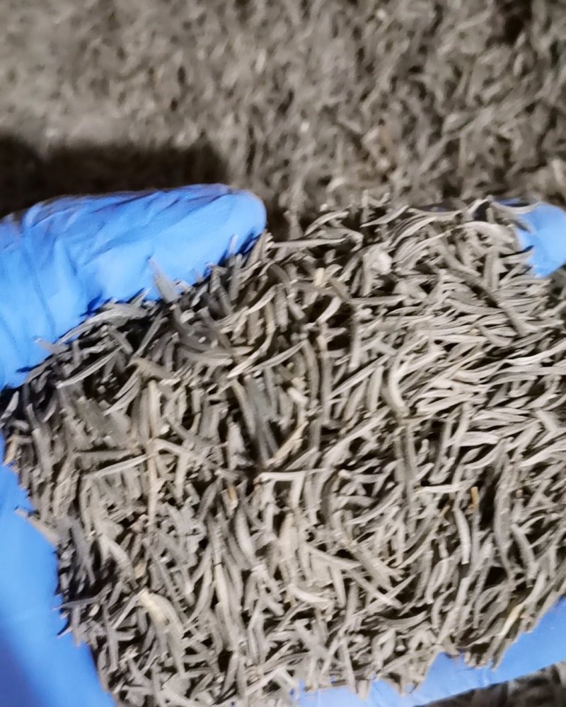 波斯菊种子格桑花种子花卉种子四季易播包邮花坛阳台