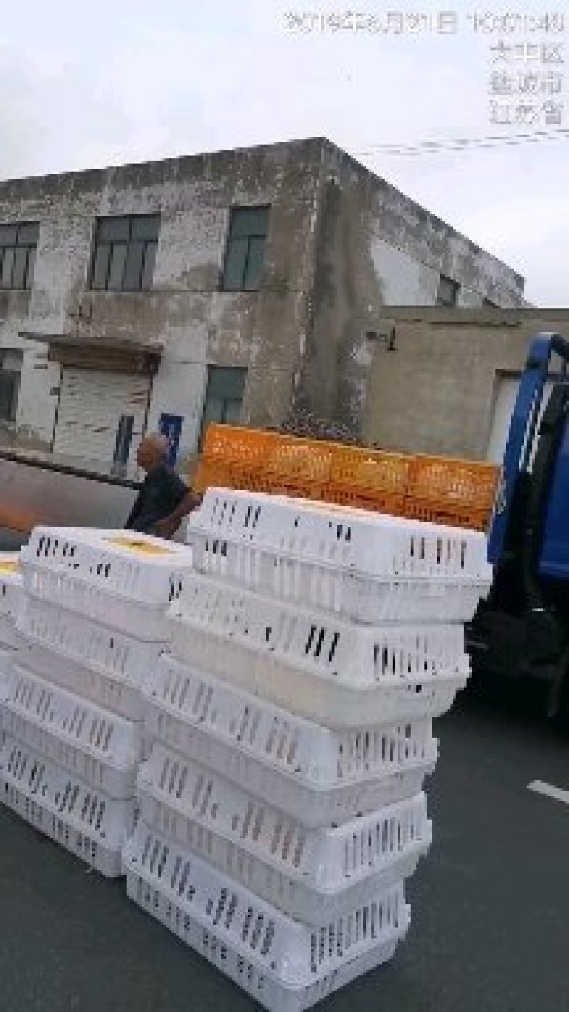 带肚头兔肚子特色小吃麻辣兔肚皮高蛋白低脂肪纯兔肚头