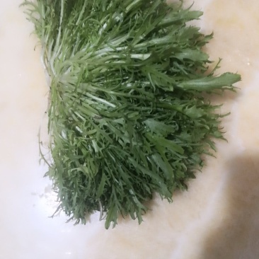 各位老板！精品苦菊大量上市了！欢迎前来采购。