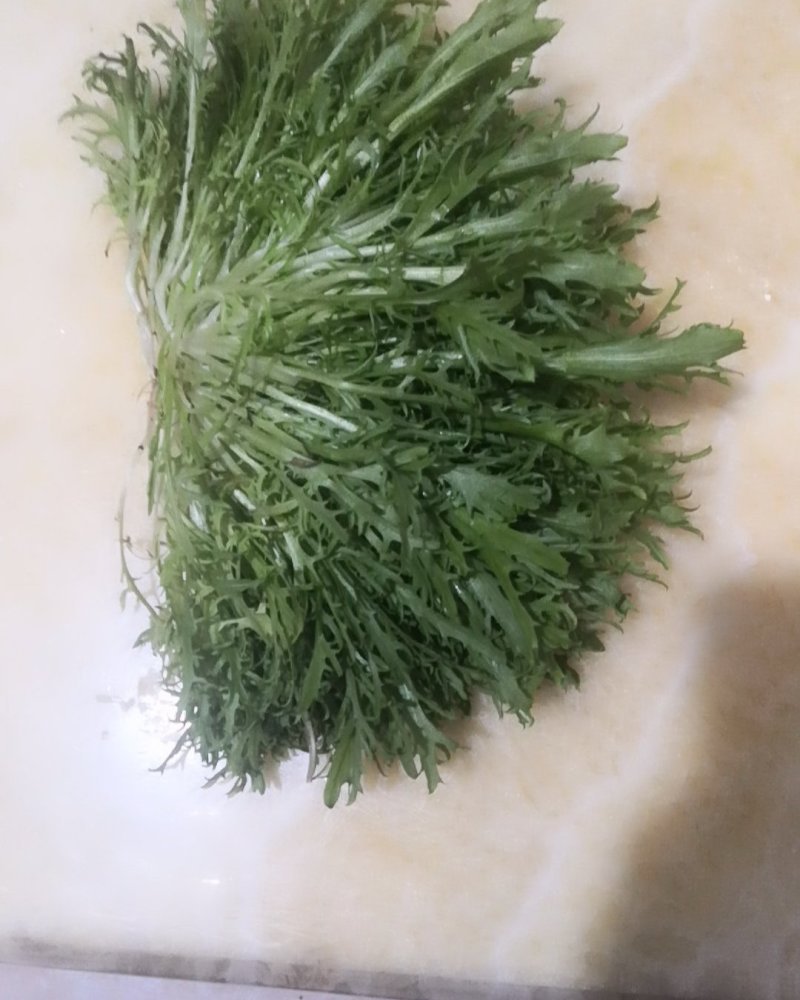 各位老板！精品苦菊大量上市了！欢迎前来采购。