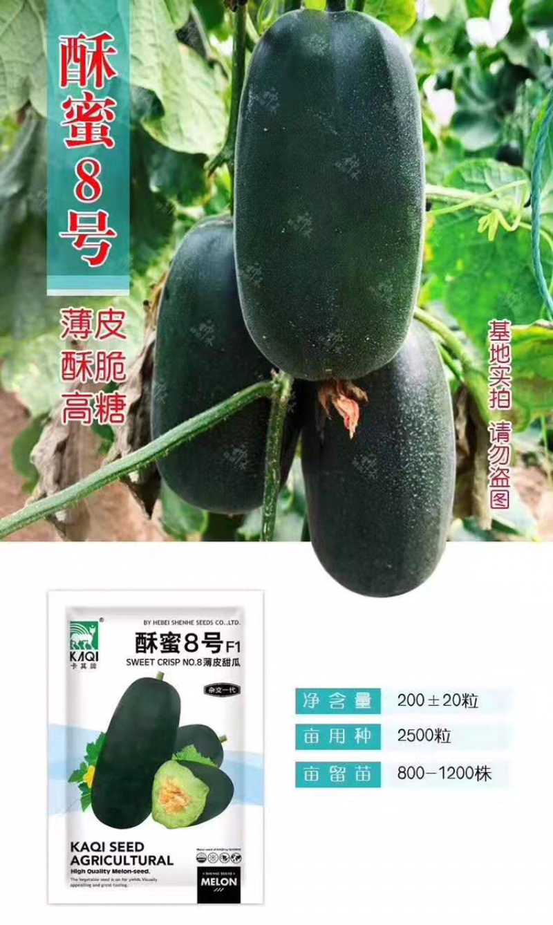 酥蜜8号薄皮甜瓜种子特甜糖度16度粗棒形墨绿皮甜瓜种籽