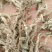 山沟沟里【野生石菖蒲干货】货源稳定，诚信经营，欢迎选购