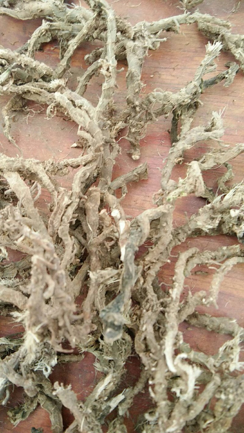 山沟沟里【野生石菖蒲干货】货源稳定，诚信经营，欢迎选购