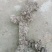 干猪屎（圆的）猪苓和干鸡屎（一片一片的）猪苓