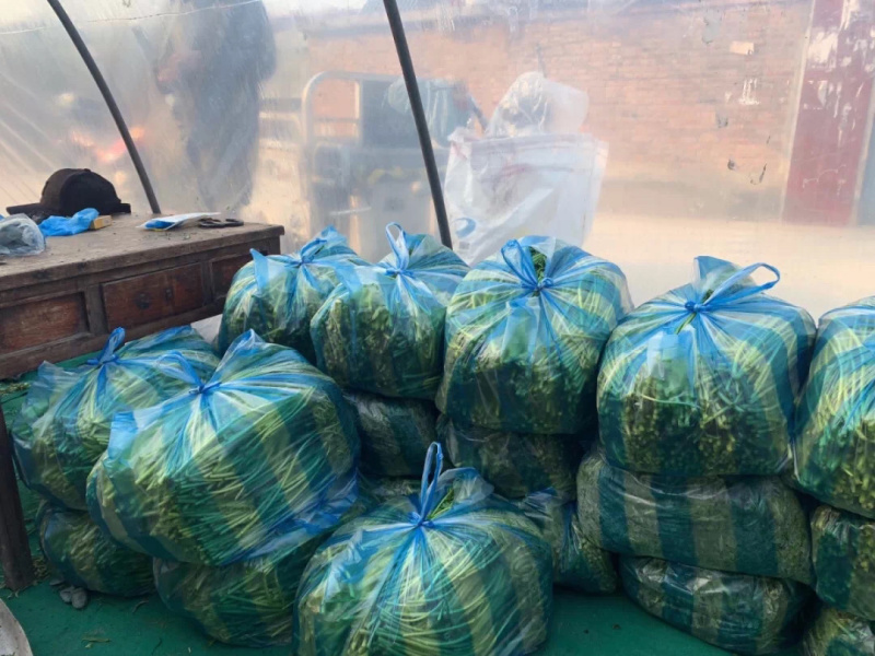 芦蒿筒篙带叶芦蒿净蒿精品芦蒿助农帮销