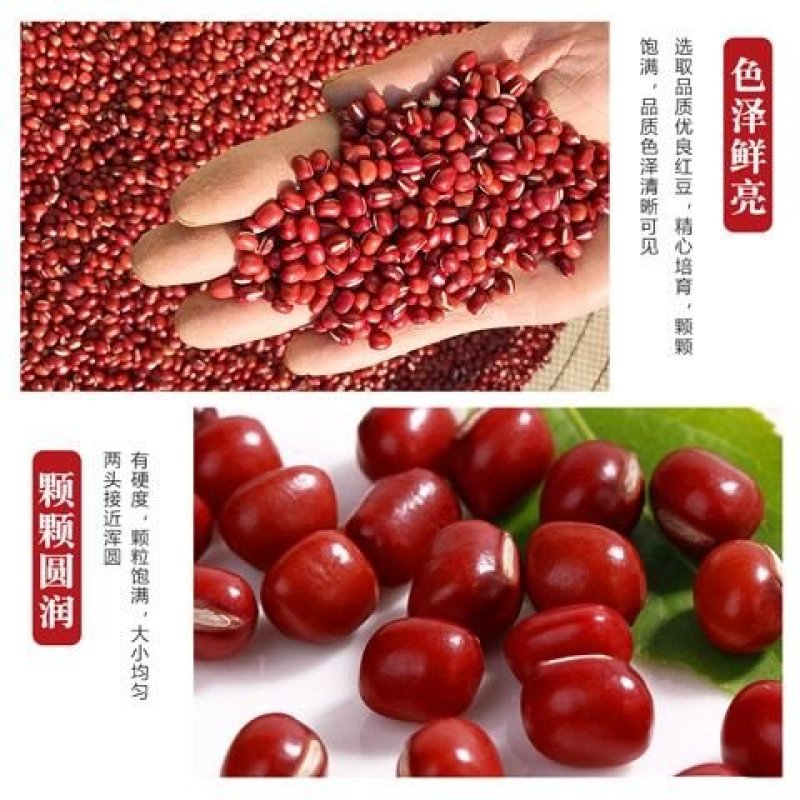 正宗东北红小豆新货农家自产非转基因杂粮粥粗粮批发
