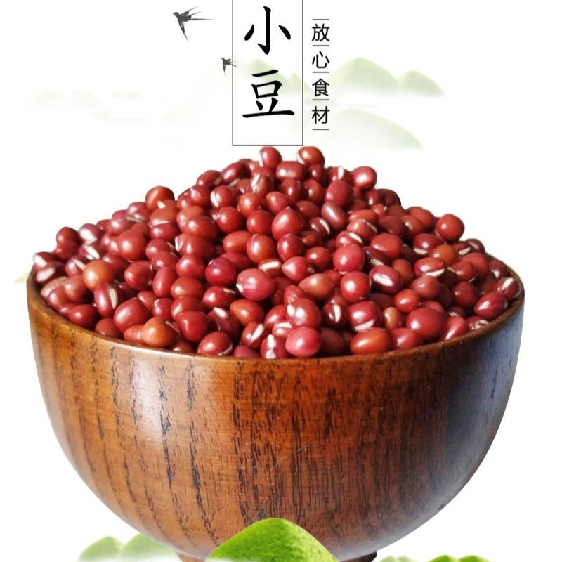 正宗东北红小豆新货农家自产非转基因杂粮粥粗粮批发