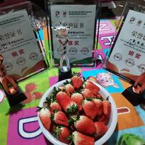 甜宝牛奶草莓济南草莓亚洲杯获奖产品欢迎老板采购