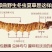 西藏那曲冬虫夏草一手货源一手价格