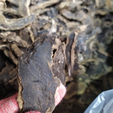 【基地特价】玄参无硫过筛烘干片,基地直销,量小清仓特价