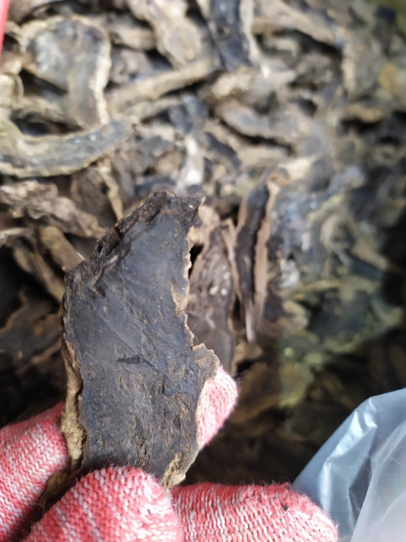 【基地特价】玄参无硫过筛烘干片，基地直销，量小清仓特价