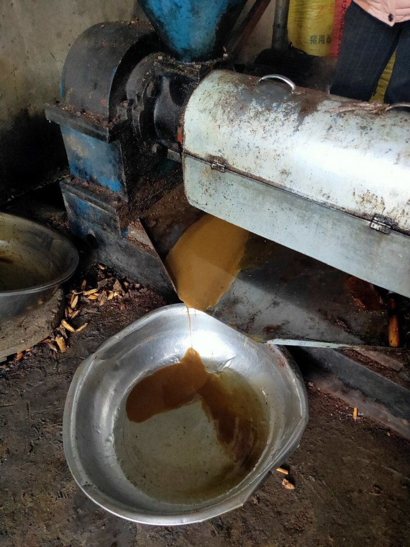 纯山茶油