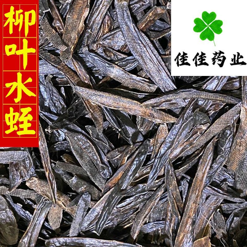 水蛭清水吊杆水蛭柳叶水蛭干货实物图供应各种中药