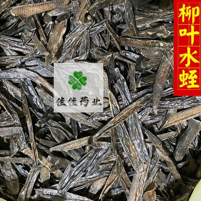水蛭清水吊杆水蛭柳叶水蛭干货实物图供应各种中药
