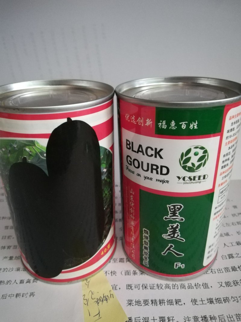 黑皮特大冬瓜种子-大冬瓜种子