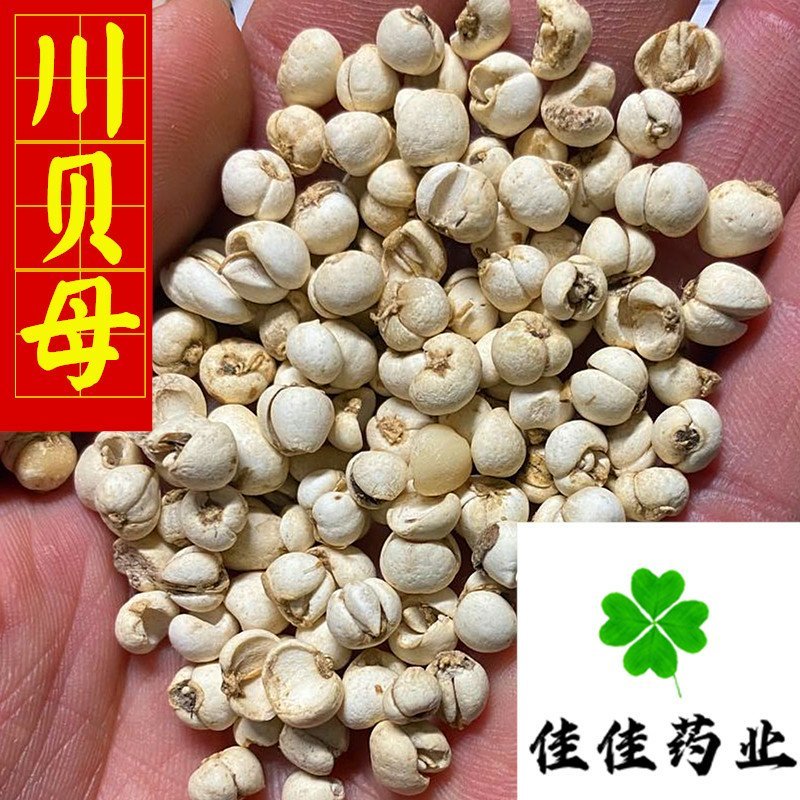 川贝母纯正品100克起批纯干货新货实物图