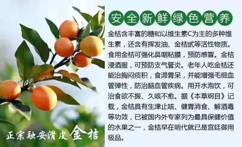 广西特产融安滑皮脆皮金桔当季新鲜水果8斤装孕妇水果