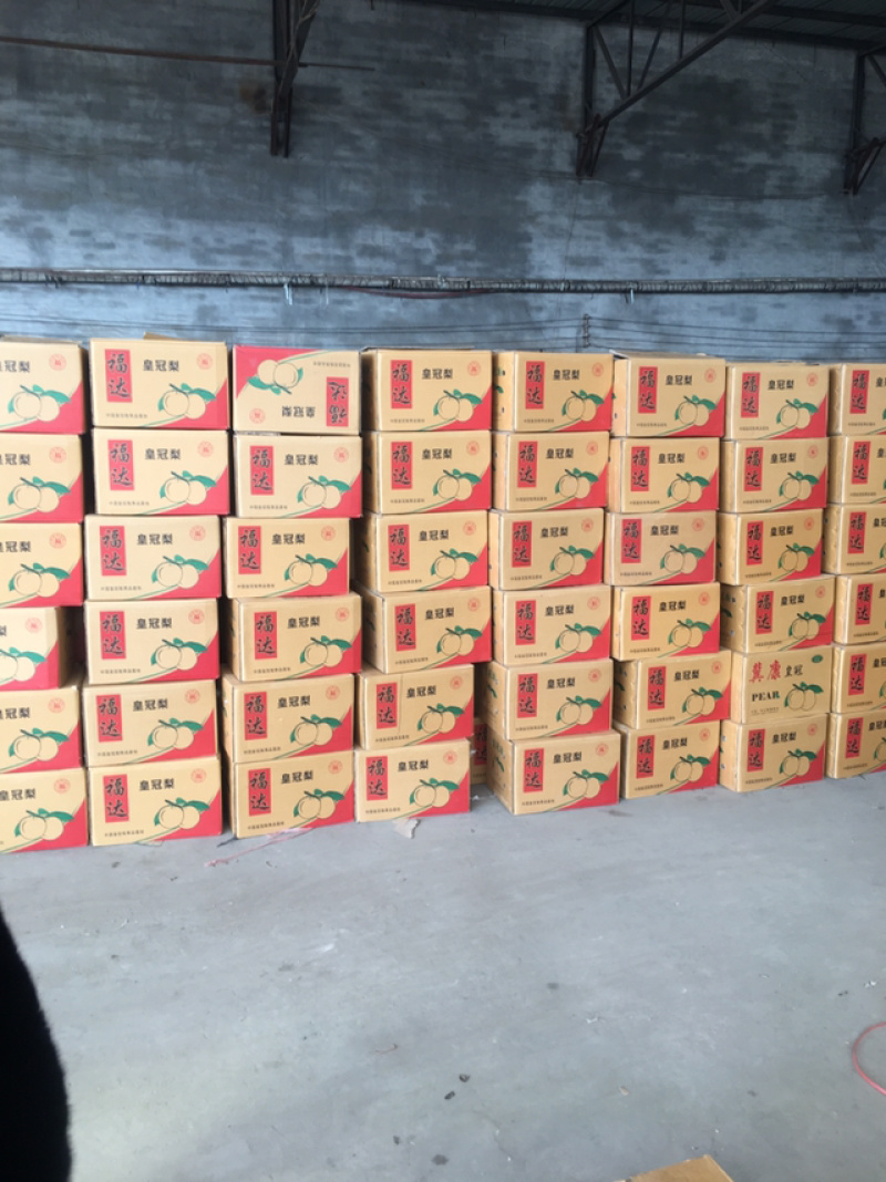 香蕉梨（贵妃梨）400~450g纸袋