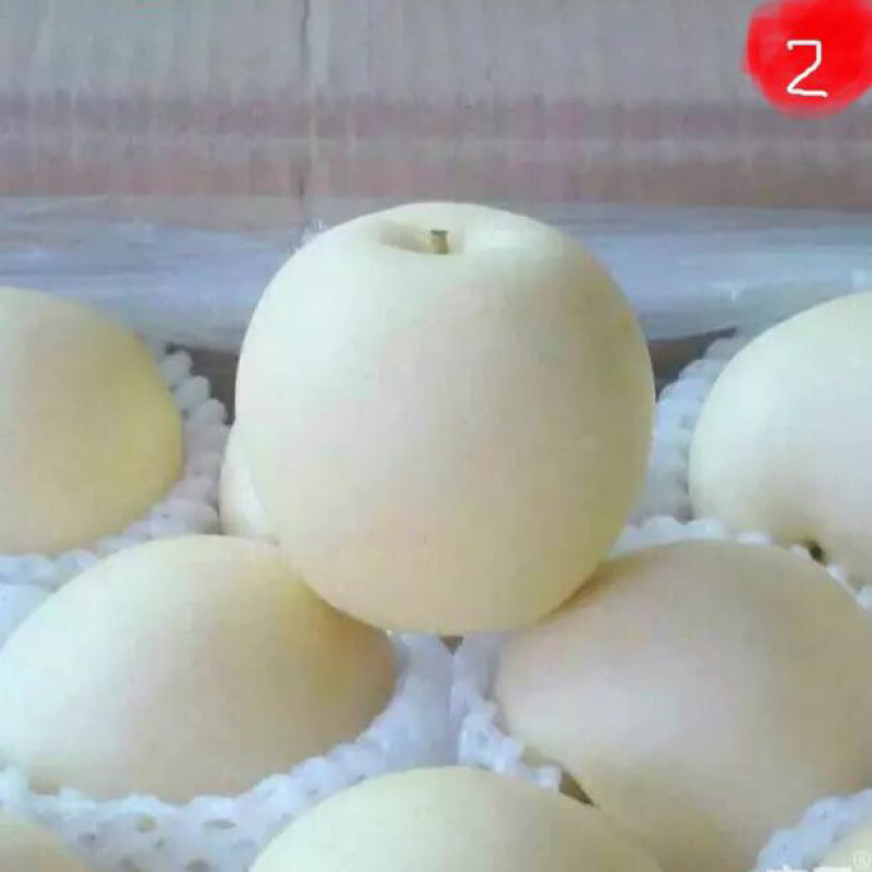 水晶梨纸袋200~250g