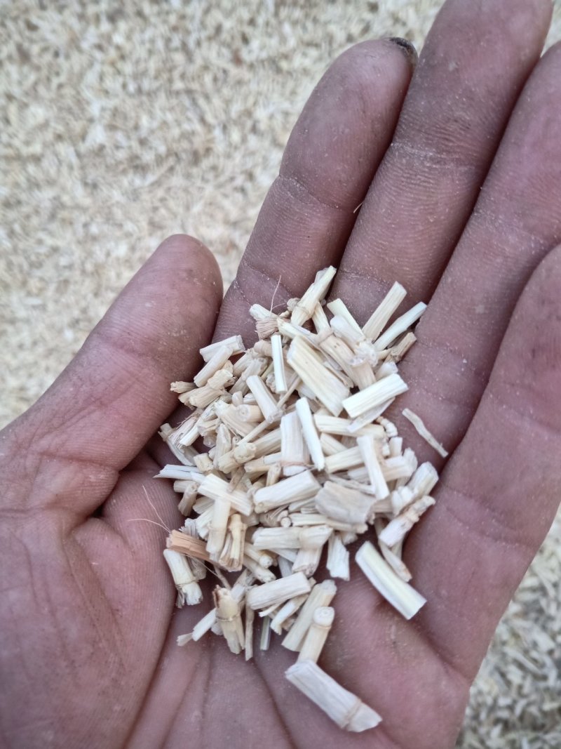 白茅根，茅草根，甜甜根，