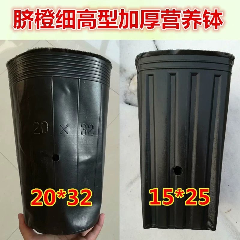 【河北营养杯厂家】育苗杯，花盆，营养盆，育苗袋