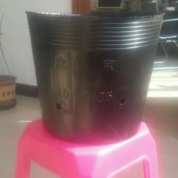 营养杯，育苗杯，黑色软花盆，全自动流水线