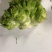 儿菜