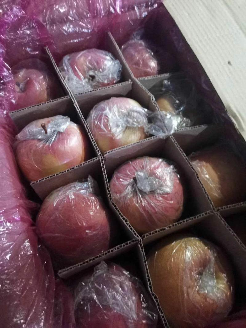 【苹果】本地膜袋富士低价对接全国个头大货源充足口感甜