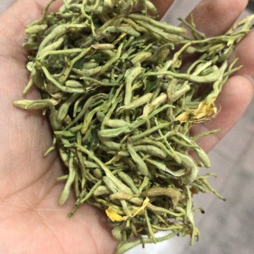 金银花