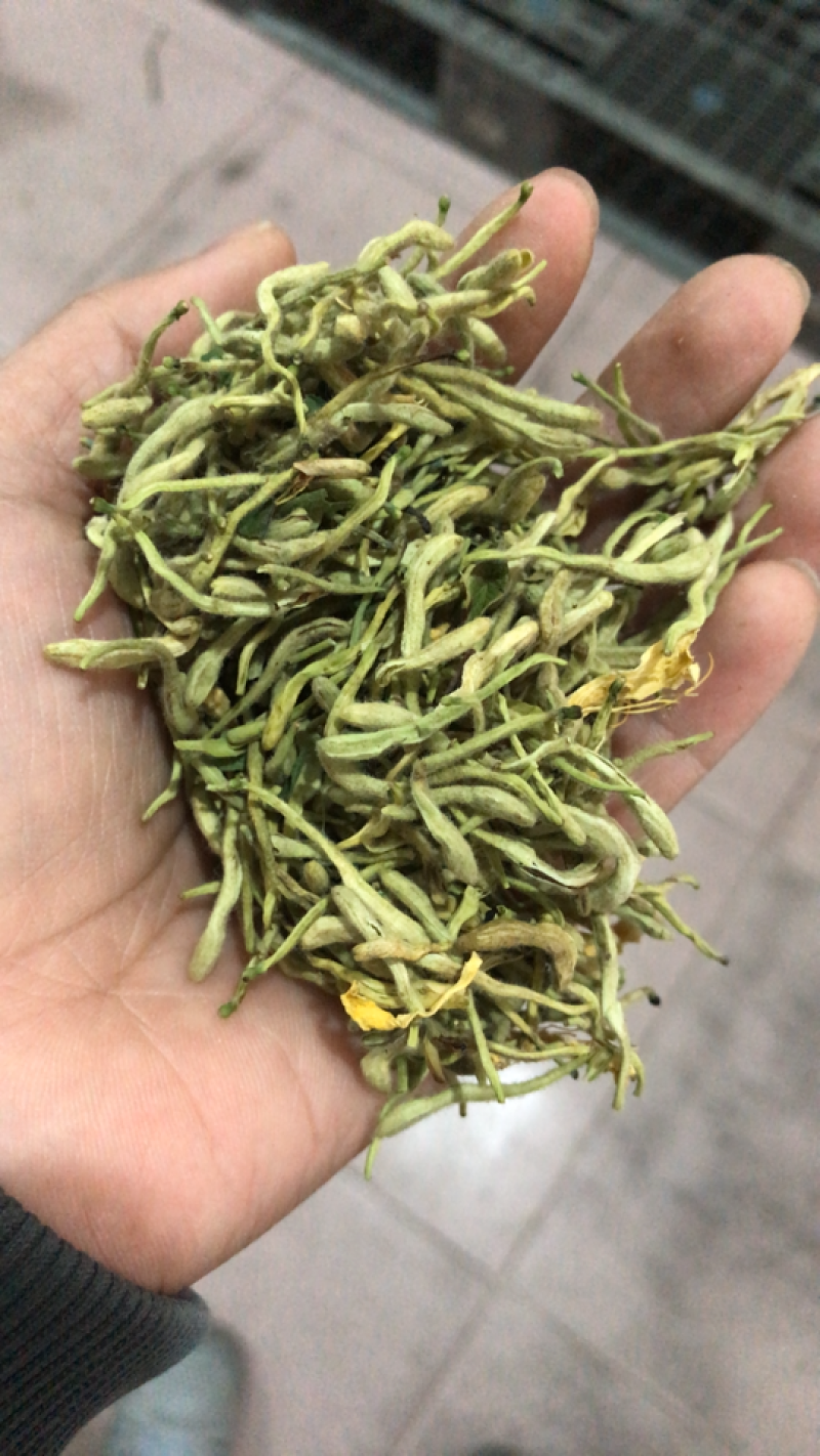 金银花