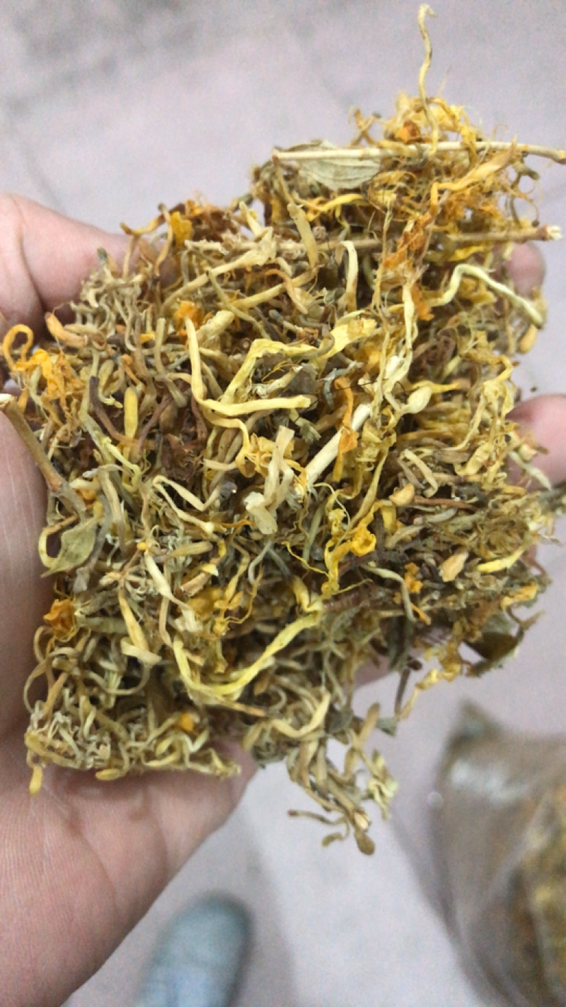 金银花