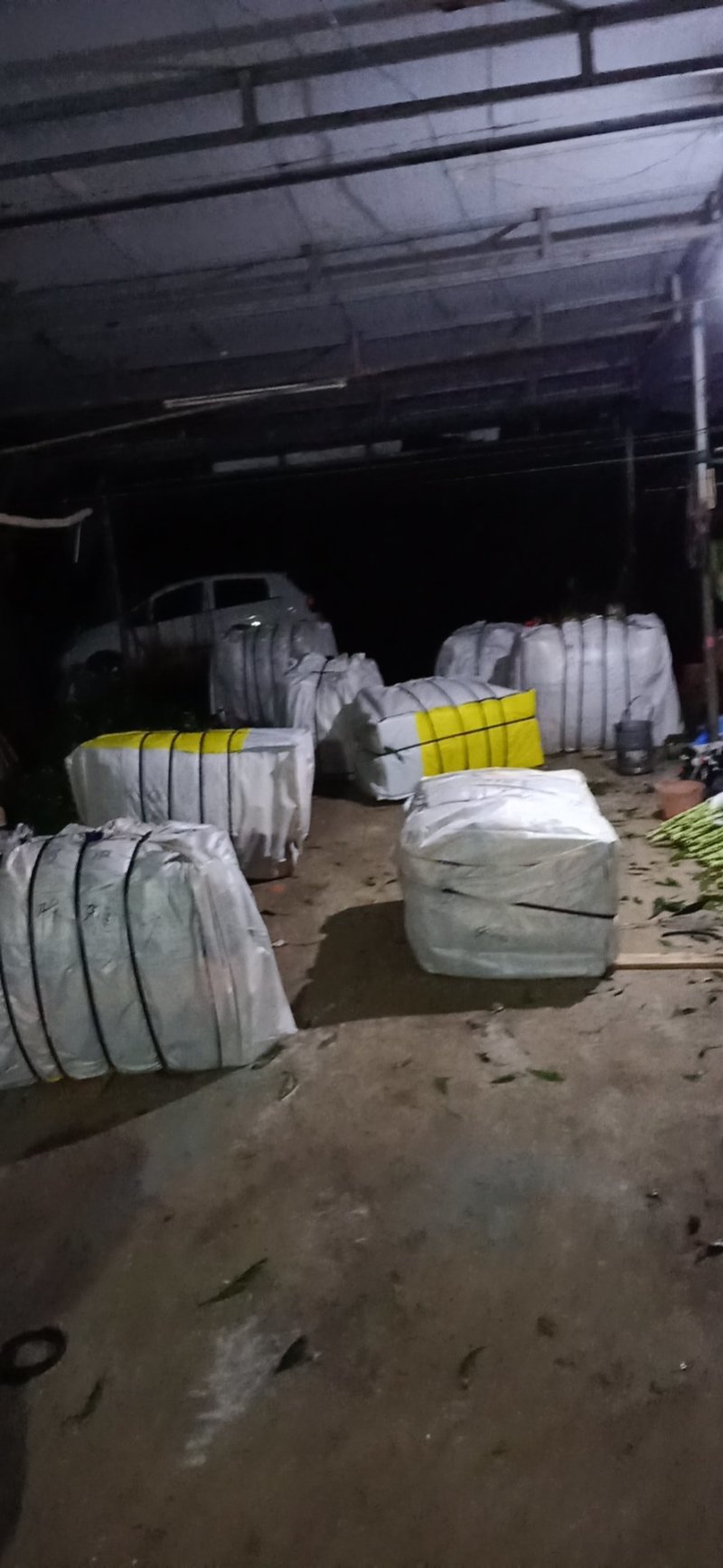 富贵竹基地直销，一手货源量大从优欢迎采购