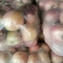 老杜水果经销