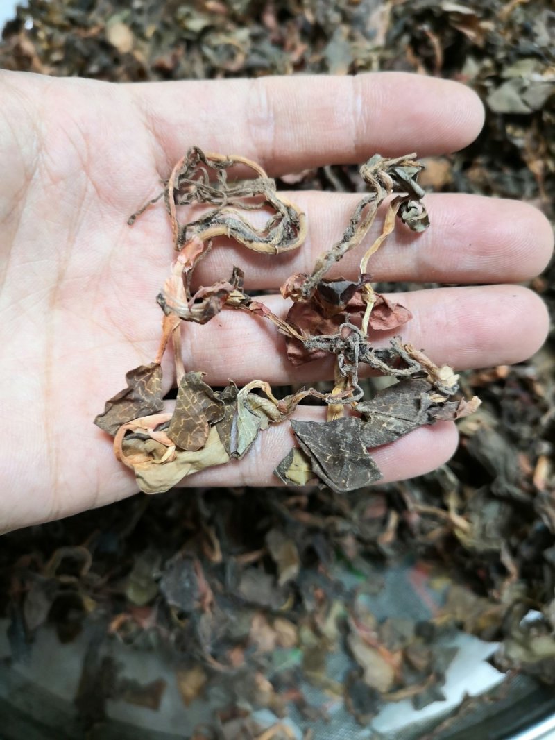 小叶金线莲.干货小叶.纯新货。全干